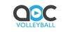 The Art of Coaching Volleyball