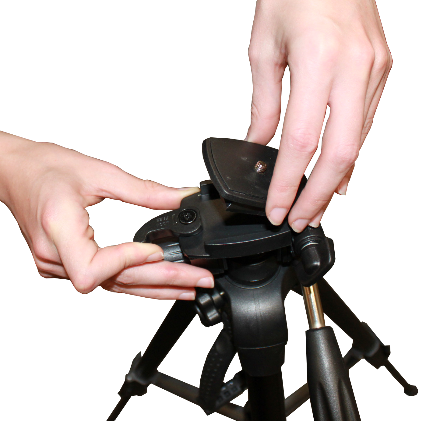 Replacement - Tripod Shoe